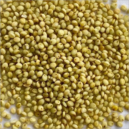 Browntop Millet11