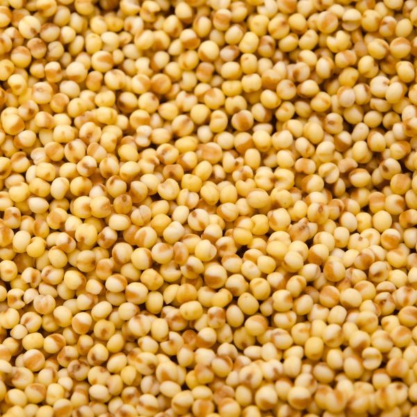 Foxtail Millet (2)